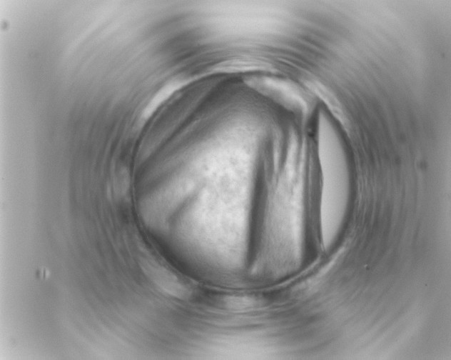 X0000088651465200706151955