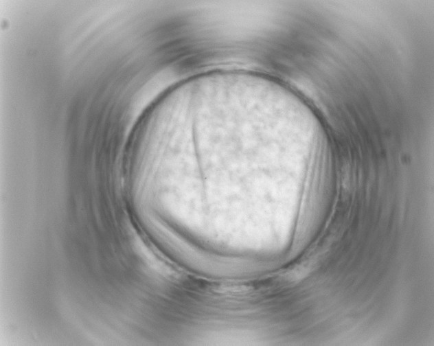 X0000088651466200706151955