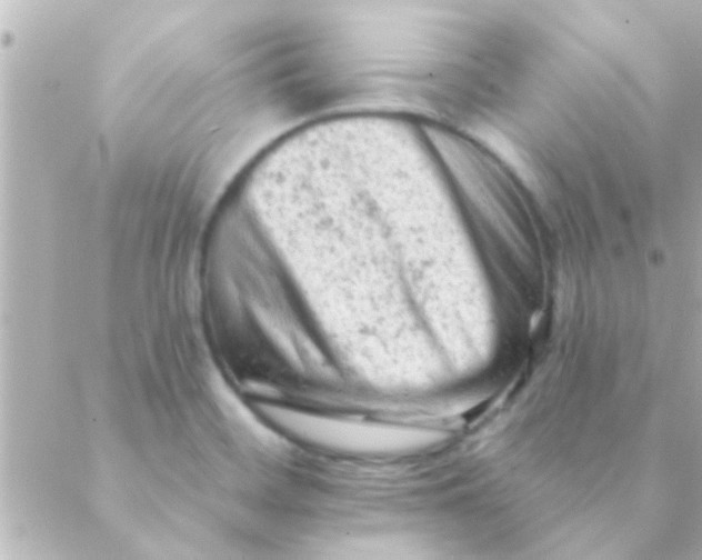 X0000088651468200706151955