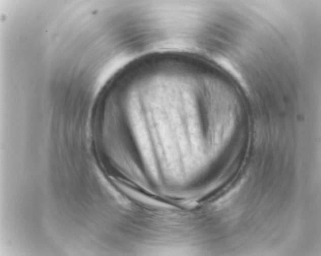 X0000088651469200706151955