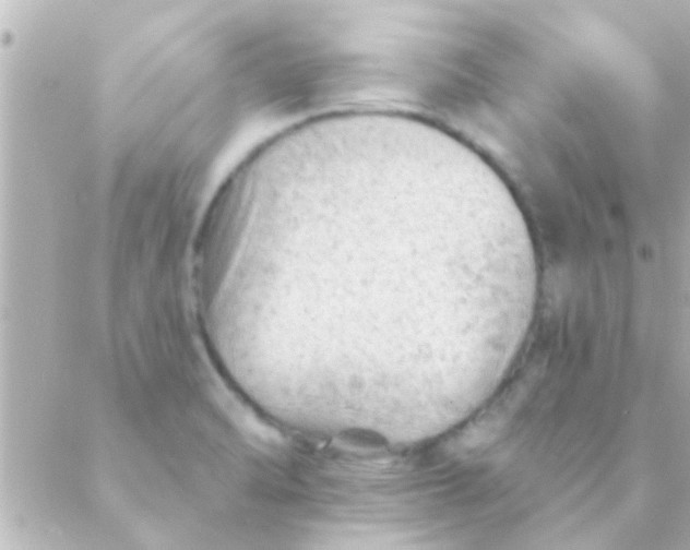 X0000088651470200706151955