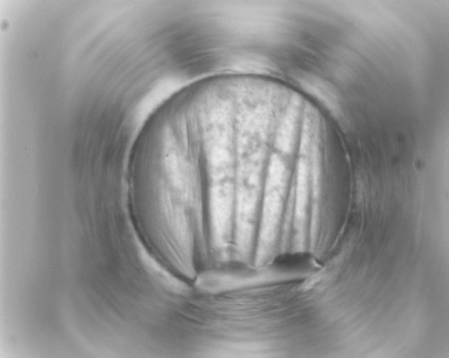 X0000088651471200706151955