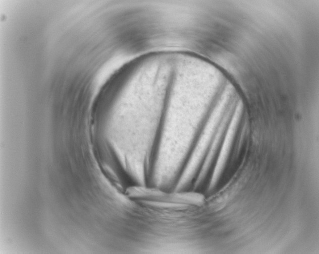 X0000088651472200706151955