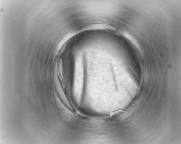 X0000088651473200706151955