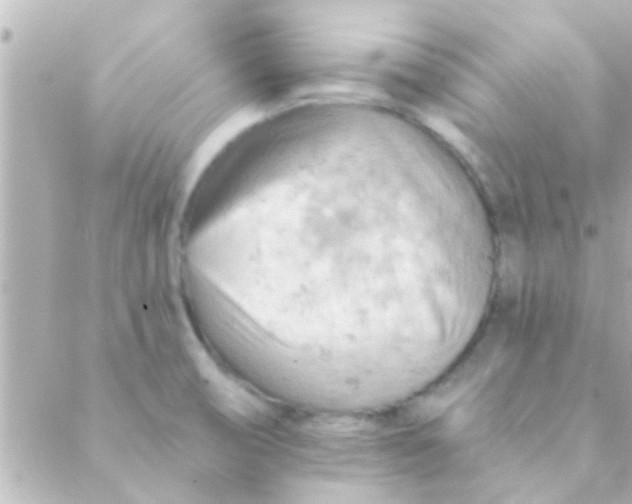 X0000088651474200706151955