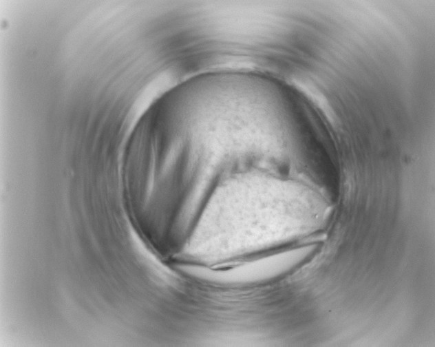 X0000088651475200706151955