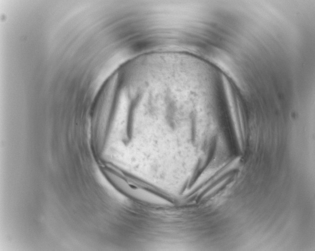 X0000088651476200706151955