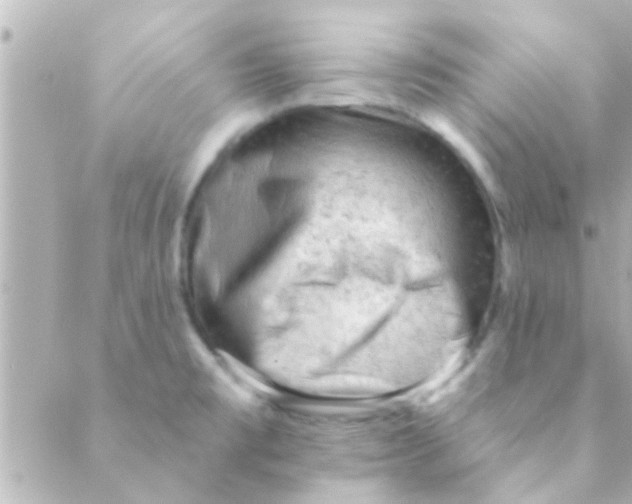 X0000088651477200706151955