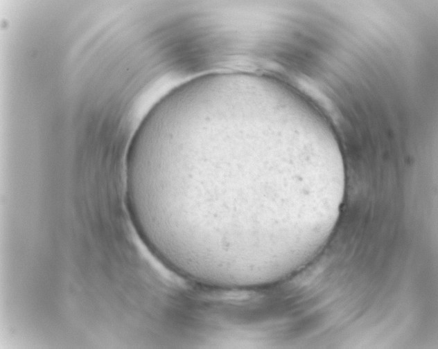 X0000088651479200706151955