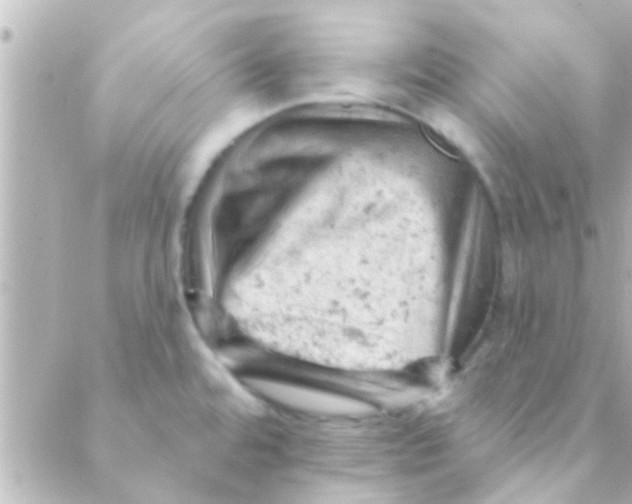 X0000088651480200706151955