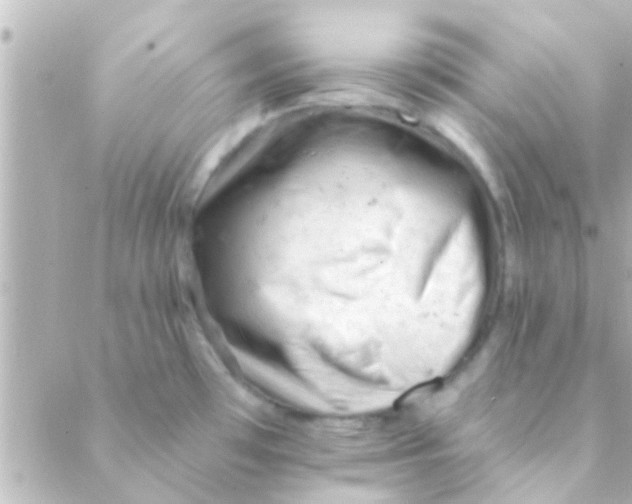 X0000088651481200706151955