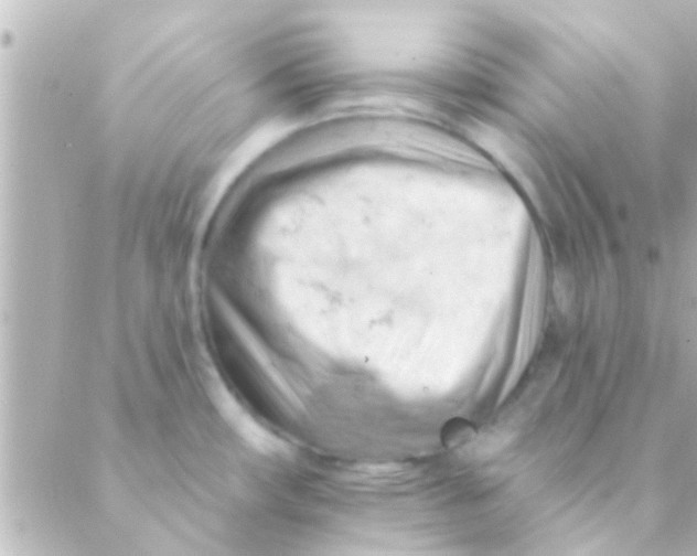 X0000088651482200706151955