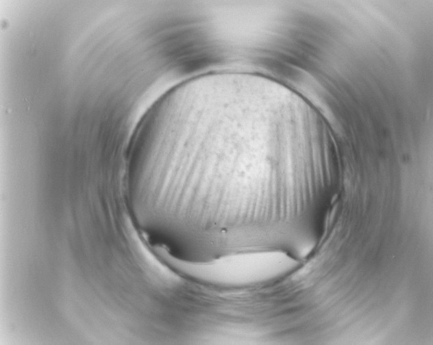 X0000088651484200706151955