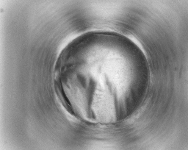 X0000088651485200706151955