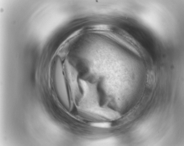 X0000088651487200706151955