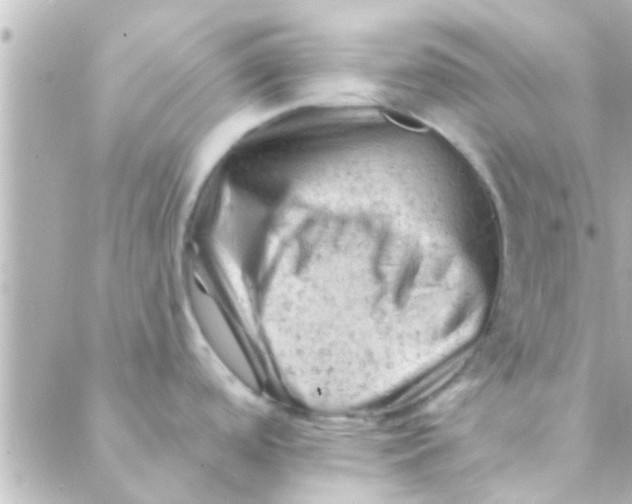 X0000088651488200706151955