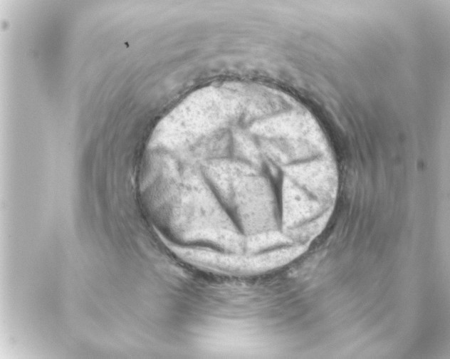 X0000088651489200706151954