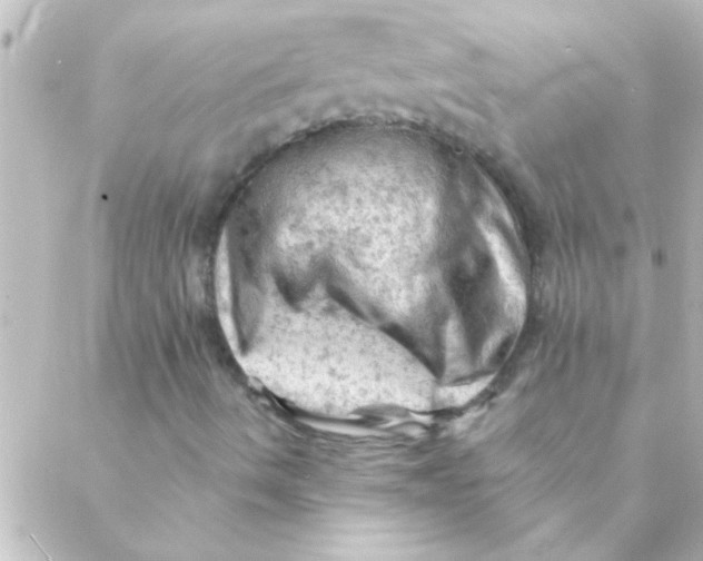 X0000088651490200706151954