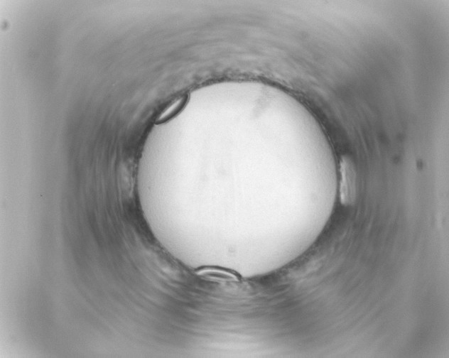 X0000088651491200706151954