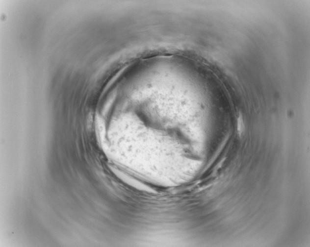 X0000088651492200706151954