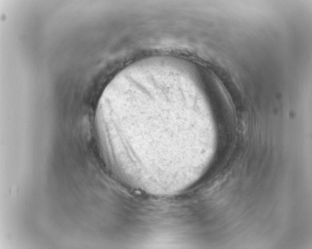 X0000088651493200706151954