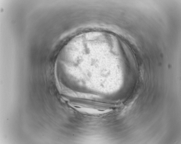 X0000088651494200706151954