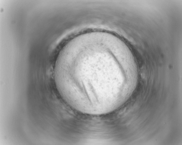 X0000088651495200706151954