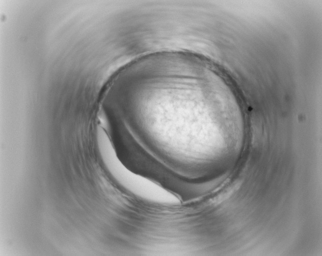 X0000088651497200706151954