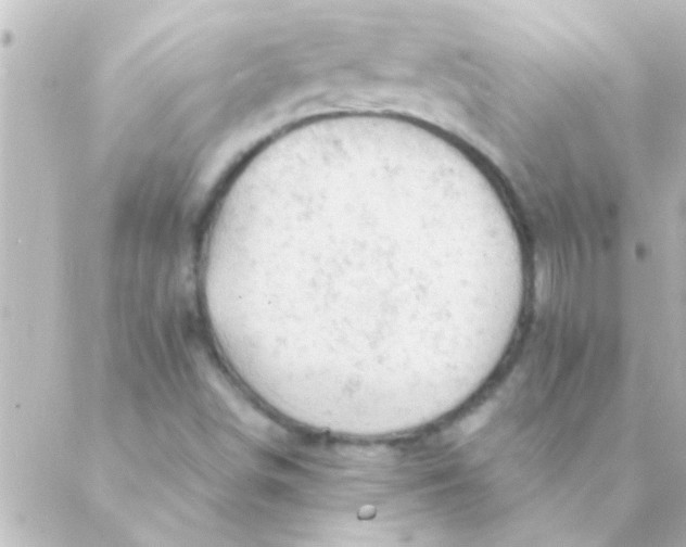 X0000088651498200706151954