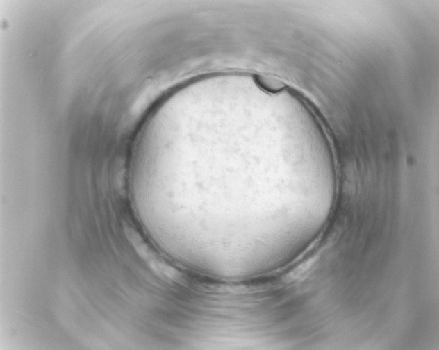 X0000088651499200706151954