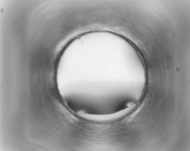 X0000088651502200706151954