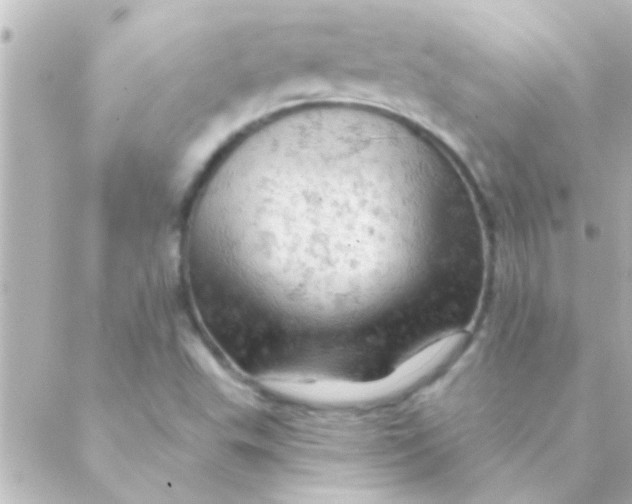 X0000088651503200706151954