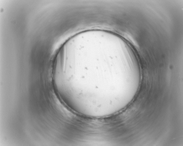 X0000088651504200706151954