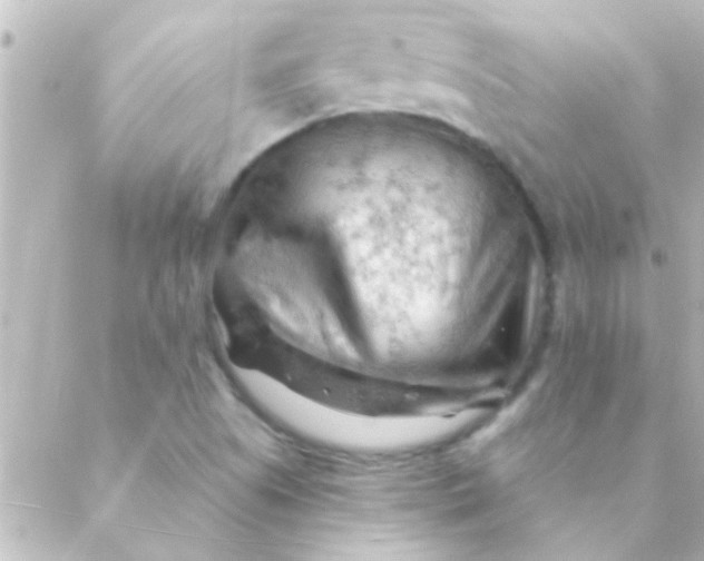 X0000088651505200706151954