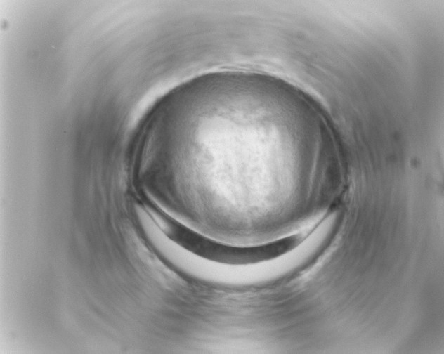 X0000088651506200706151954