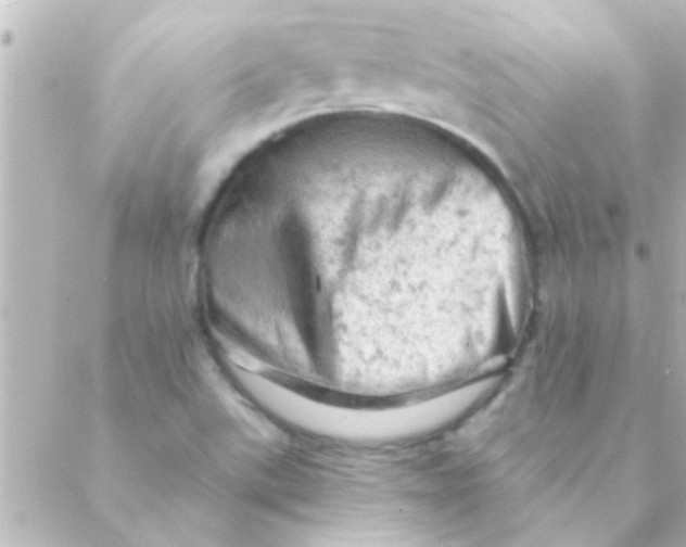 X0000088651507200706151954