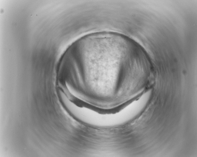 X0000088651508200706151954