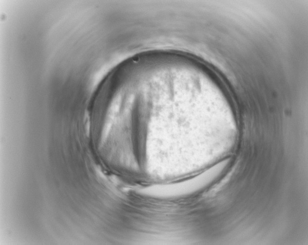 X0000088651509200706151954