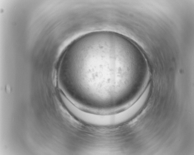 X0000088651510200706151954