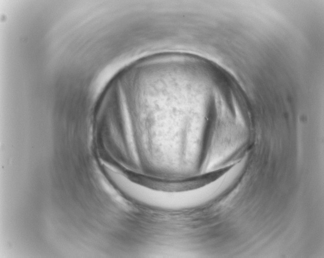 X0000088651511200706151954