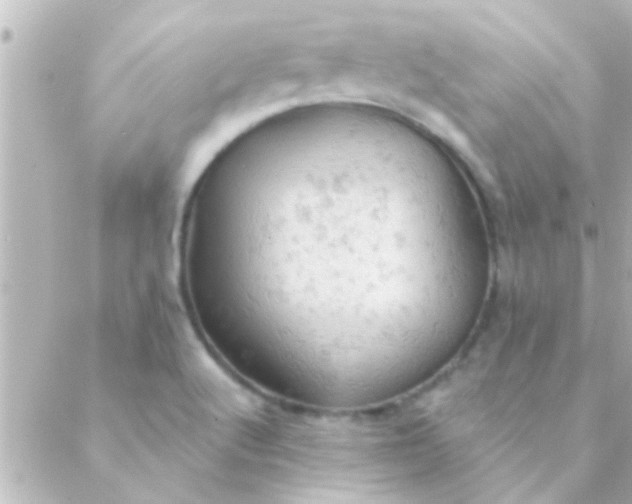 X0000088651512200706151954