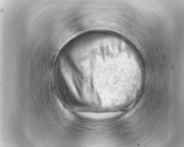 X0000088651513200706151954