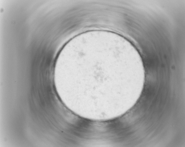 X0000088651514200706151954