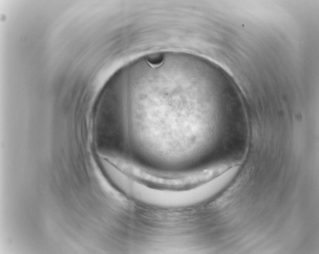 X0000088651515200706151954