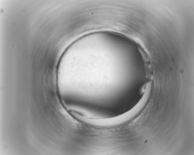 X0000088651516200706151954