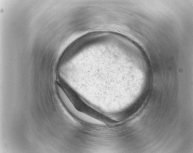 X0000088651517200706151954