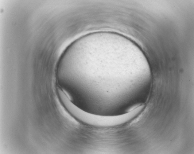 X0000088651518200706151954