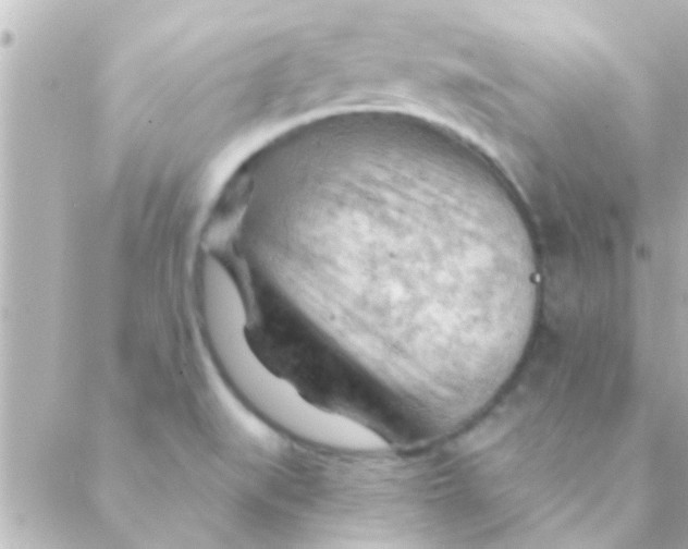 X0000088651519200706151954