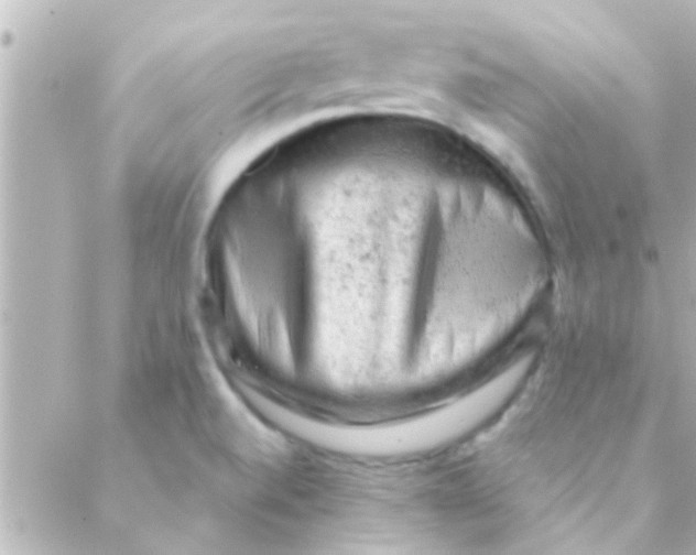 X0000088651520200706151954