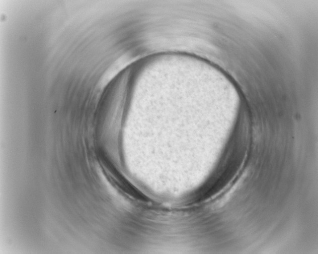 X0000088651521200706151954